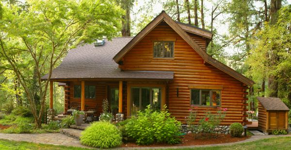 Log Home Exterior Cleaning in Saint Petersburg
