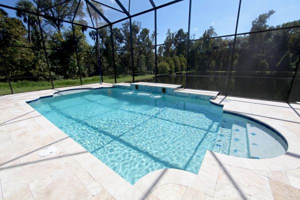 Pool Cage Cleaning in Saint Petersburg