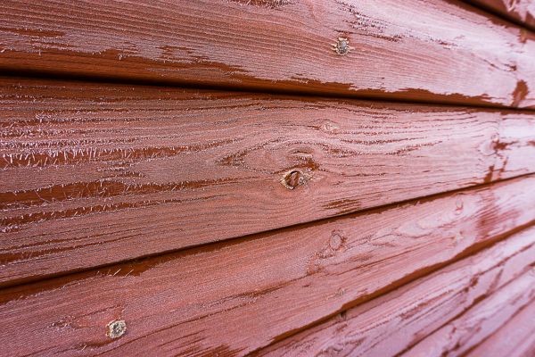 Cedar Siding Cleaning in Saint Petersburg