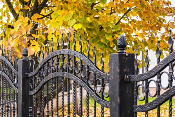 Wrought Iron Fence Washing in Saint Petersburg
