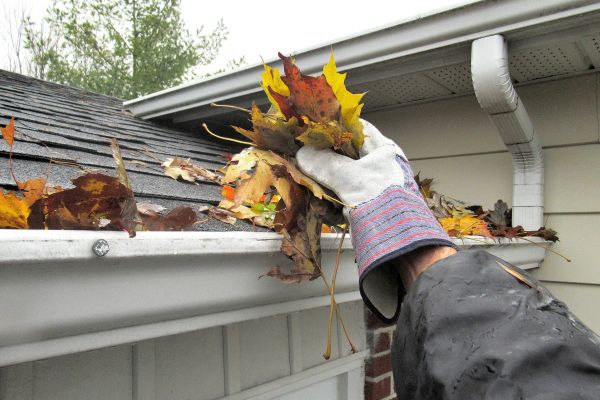 Eaves Cleaning in Saint Petersburg