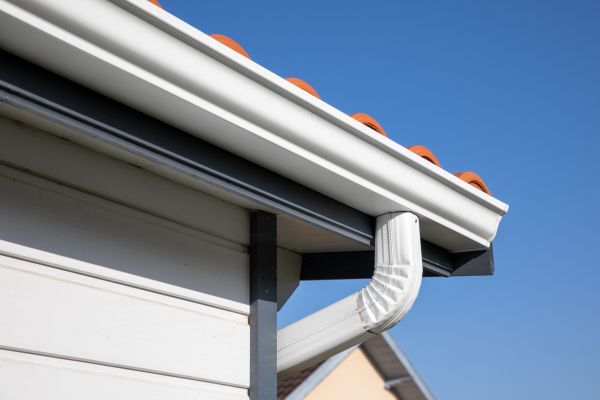 Roofline Cleaning in Saint Petersburg