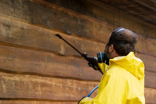 Cedar Siding Washing in Saint Petersburg