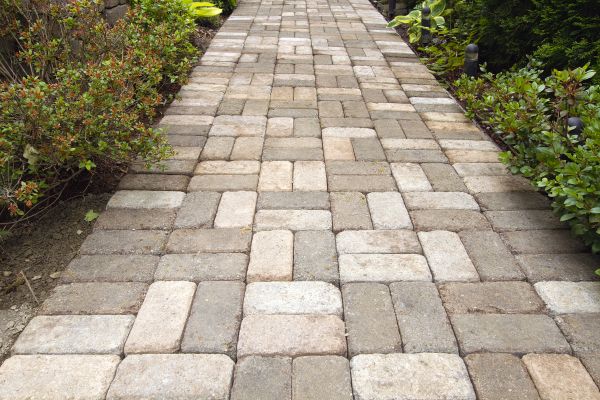Paver Walkway Cleaning in Saint Petersburg