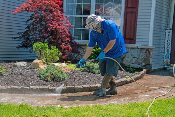 Brick Walkway Cleaning in Saint Petersburg